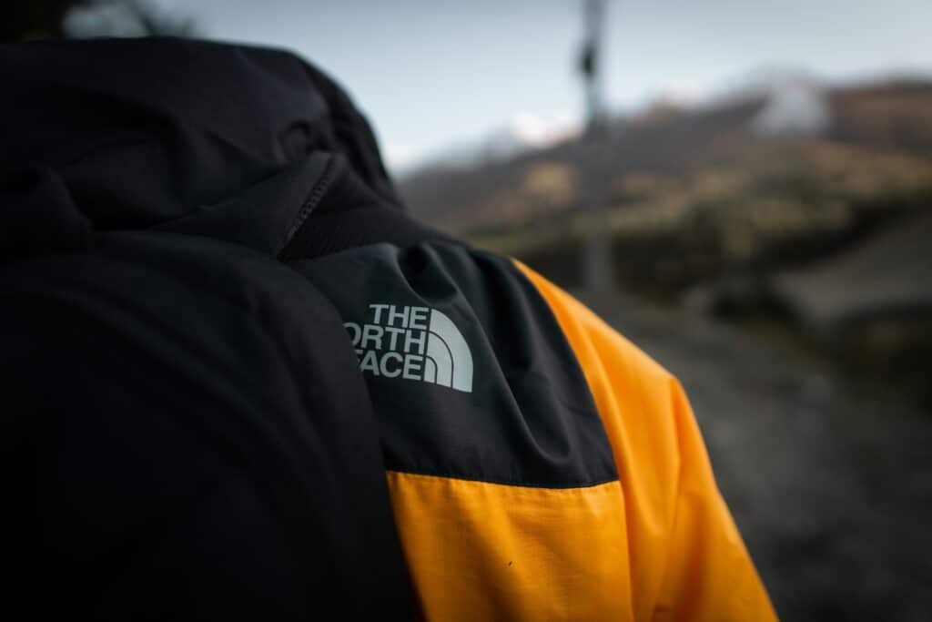 Close-up of a person wearing a black and yellow North Face jacket, highlighting the brand's elegant design against a blurred natural background.